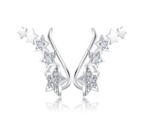 Silver Star Shaped Earrings EL-3573 