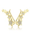 Silver Star Shaped Earrings EL-3573 