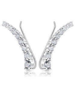 Appealing Designed with CZ Stone Earrings EL-3577 