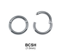 Segment Ring BCSH 1.0mm