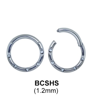 Segment Ring BCSHS 1.2mm
