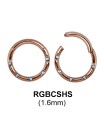 Segment Ring BCSHS 1.6mm