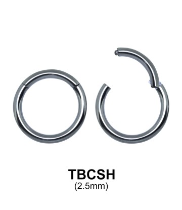 G23 Titanium Segment Ring TBCSH 2.5mm