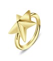 Big Star Belly Piercing Closure Ring DCRT-14b