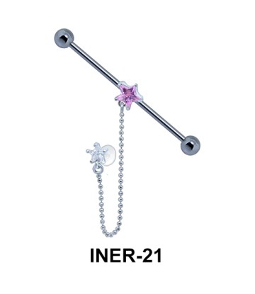 Industrial Chain with Star Shaped INER-21 