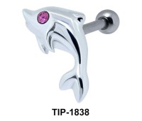Dolphin Helix Ear Piercing TIP-1838