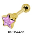 Golden Diamond and Star CZ TIP-1954-4