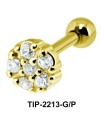 Ear Piercing TIP-2213