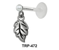 Big Leaf Tragus Piercing TRP-472