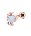 Helix Ear Piercing TIP-2606