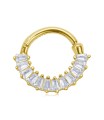 Hinge Segment Piercing Ring STCR-118