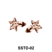 Rainbow Star Shaped Studs Earring SSTD-02