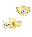 Stone Set Star Stud Earrings STF-14