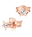 Stone Set Star Stud Earrings STF-14