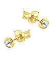 Stone Set Rose Shaped Stud Earrings STF-248