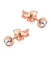 Stone Set Rose Shaped Stud Earrings STF-248