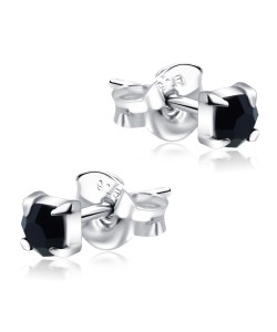 Silver Studs Earrings STF-253