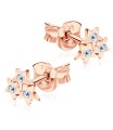 Stone Set Stars Shaped Stud Earrings STF-348