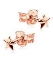 Star Shaped Stud Earrings STF-375