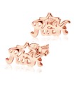 RK Silver Studs Earrings STF-387