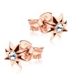 Stone Set Flower Shaped Stud Earrings STF-87