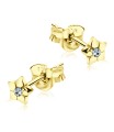 Stud Earrings STS-2100