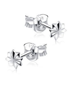 Stud Earrings STS-2108