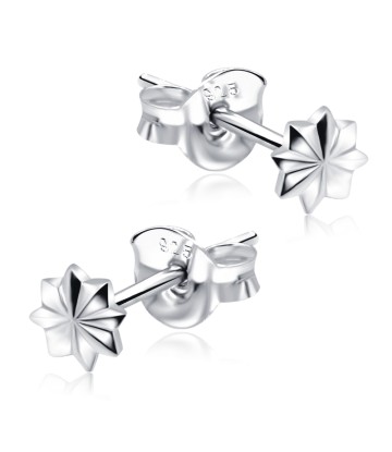 Stud Earrings STS-2108