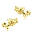 Stud Earrings STS-2337