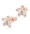 CZ Stones Stud Earring STS-2983