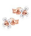 Stud Earrings STS-737