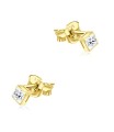 Stud Earrings STS-832-2