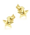 Stud Earrings STS-931