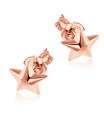 Stud Earrings STS-931