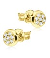 Stud Earrings STS-940