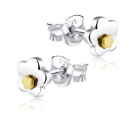 Stud Earrings STS-944