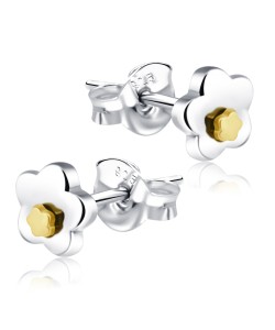 Stud Earrings STS-944