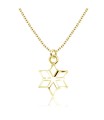 Star Shape Silver Necklace SPE-1427n
