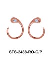 Silver Earring STS-2488