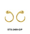 Silver Earring STS-2489