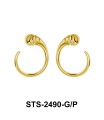 Silver Earring STS-2490