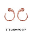 Silver Earring STS-2490