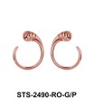 Silver Earring STS-2490