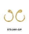 Silver Earring STS-2491