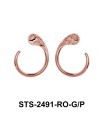 Silver Earring STS-2491