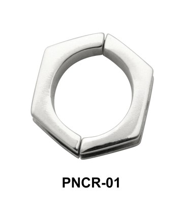 Plain Hexagon Nipple Clip PNCR-01