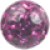 Fuchsia Fuchsia