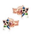 Silver Stud Earring ST-2100